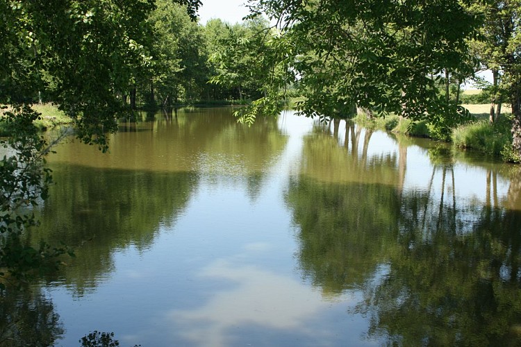 Les sources du Thouet