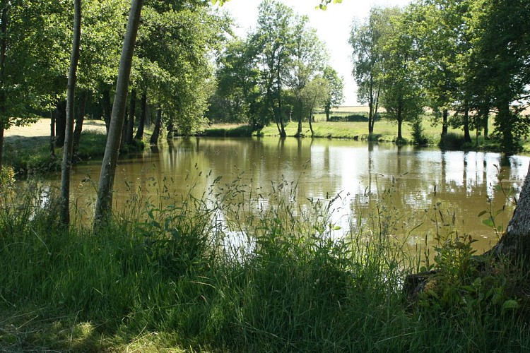 Les sources du Thouet