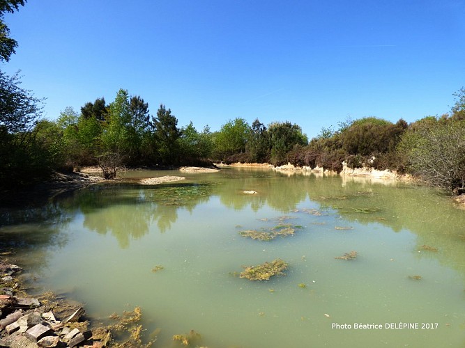 Photos-Bea-des-Landes-de-l-Hopiteau--3-