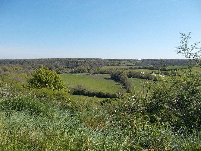 Le-Cirque-de-Seneuil