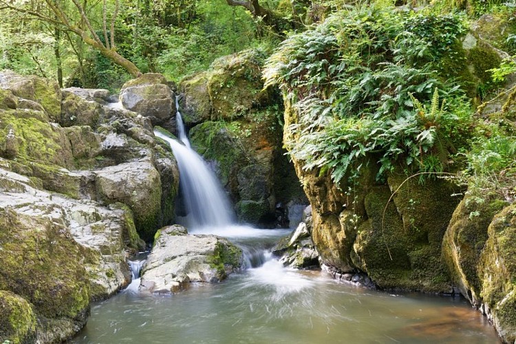 puits d'enfer (pw)4339