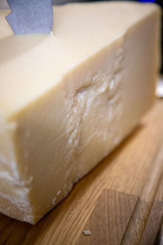 LA_DOLCE_VITA_2024-151