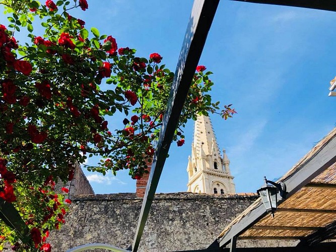 34407921-2164304060250512-1321797299403227136-n