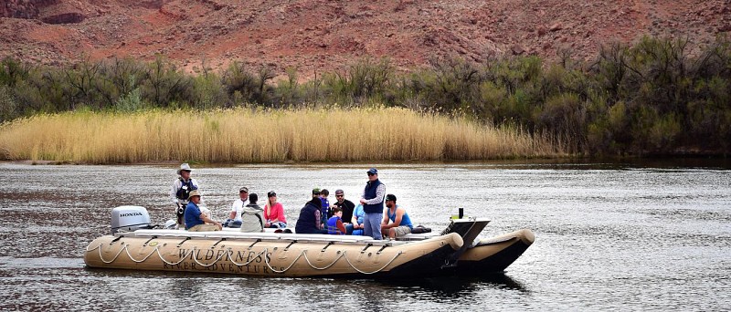 Rafting en eau calme sur le Colorado à Glen Canyon et Horseshoe Bend - Demi-journée au départ de Page