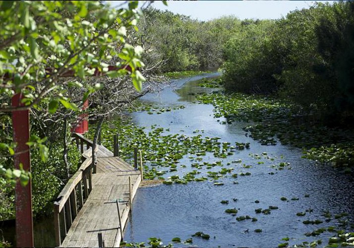 Billet Everglades Safari Park - Parc, promenade et tour en airboat à proximité de Miami