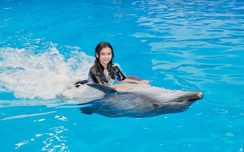 Dubai Dolphinarium: Dolphin & Seal Show VIP Tickets + Dolphin Encounter