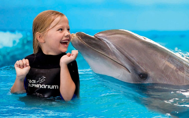 Dubai Dolphinarium: Dolphin & Seal Show VIP Tickets + Dolphin Encounter