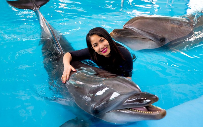 Dubai Dolphinarium: Dolphin & Seal Show VIP Tickets + Dolphin Encounter