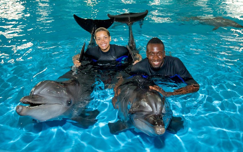 Dubai Dolphinarium: Dolphin & Seal Show VIP Tickets + Dolphin Encounter