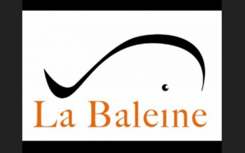 baleine-bspline