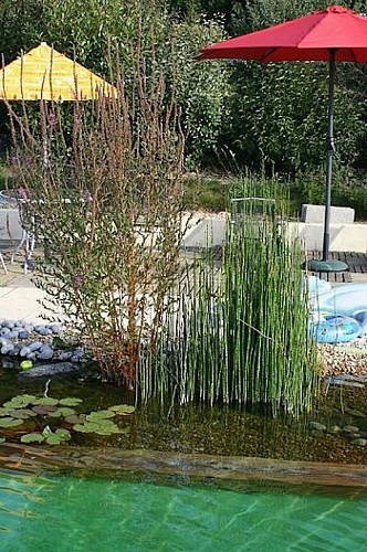 Gîtes "La Chandurière - Au Cocorico"