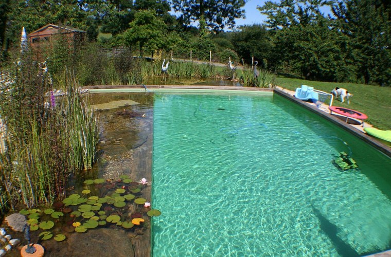 saint-paul-en-gatine-gites-au-cocorico-au-marcassin-piscine-bis.jpg_9