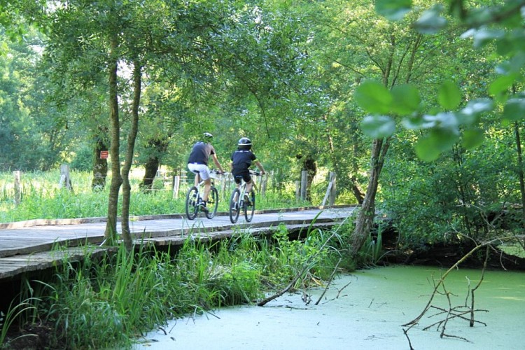 Piste cyclable