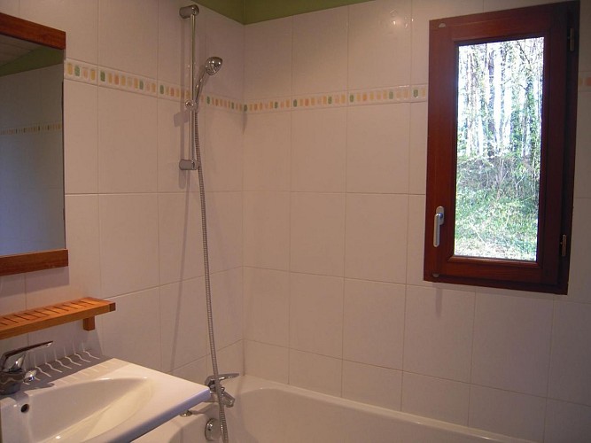 Salle de bain avec baignoire