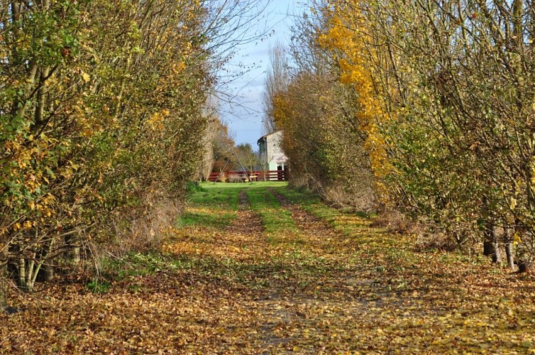 Gîte "Côté Marguerites" - Le Hameau de Sainte-Mégrine