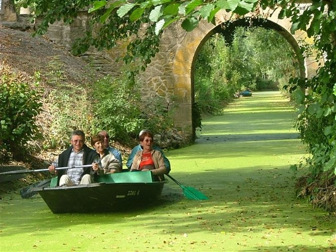 Promenade en barque dans le Marais Poitevin