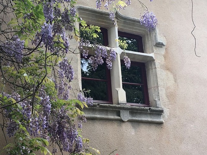 Fenêtre côté cour