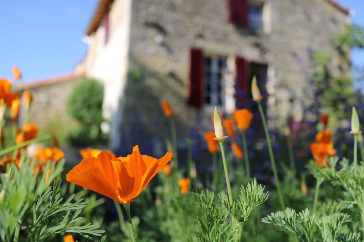 Gîte Maison Madame, devanture