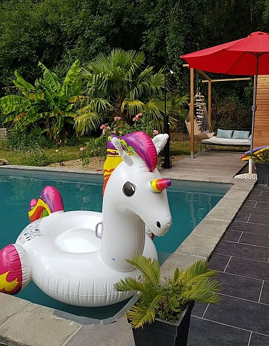 piscine licorne