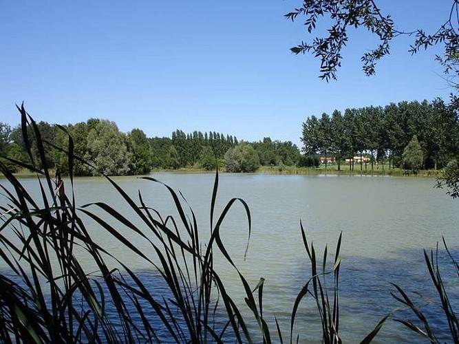 letableetleschaumierescaunay-etang-isabellegirard