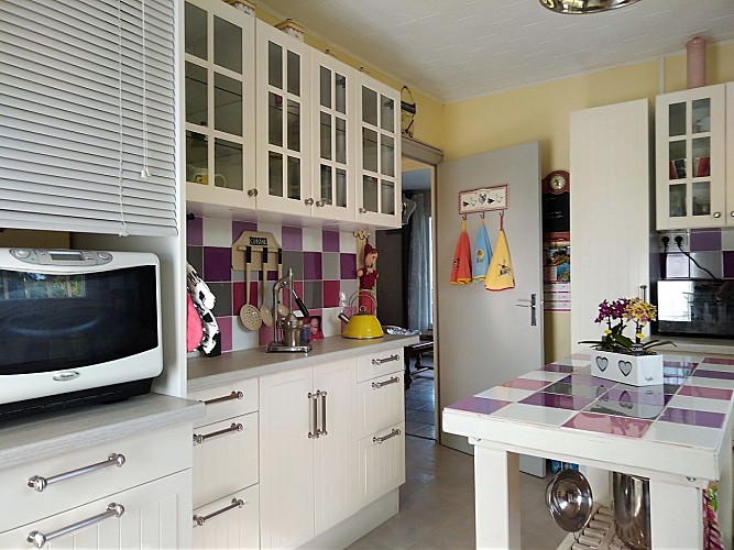 trayes-gite-mesange-bleue-cuisine2.jpg_9