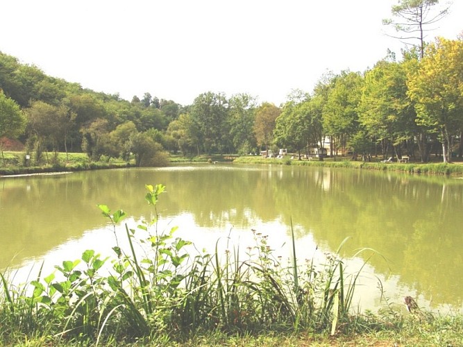 Camping le Roc de Lavandre_Etang de pêche