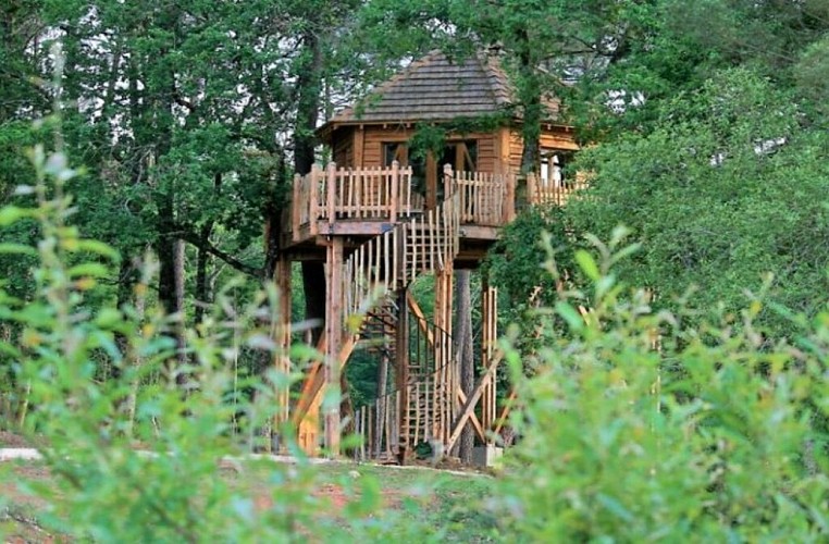 Cabanes perchées dans les arbres