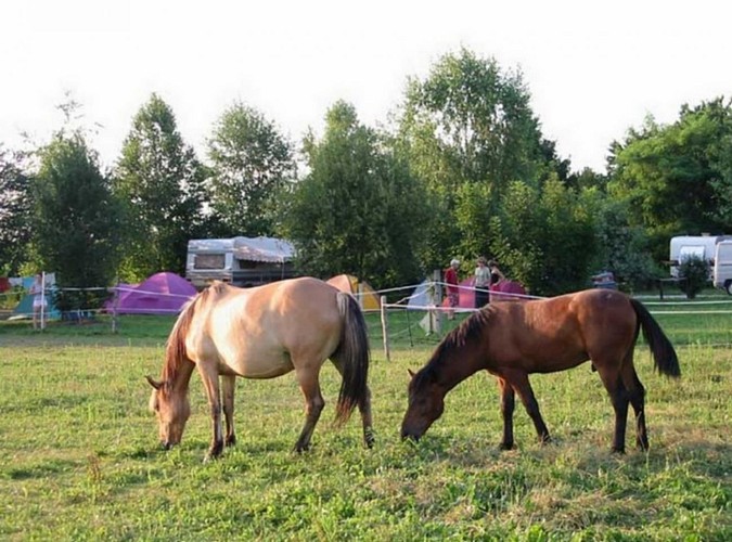 EARL Lo Casau - Camping Poublan