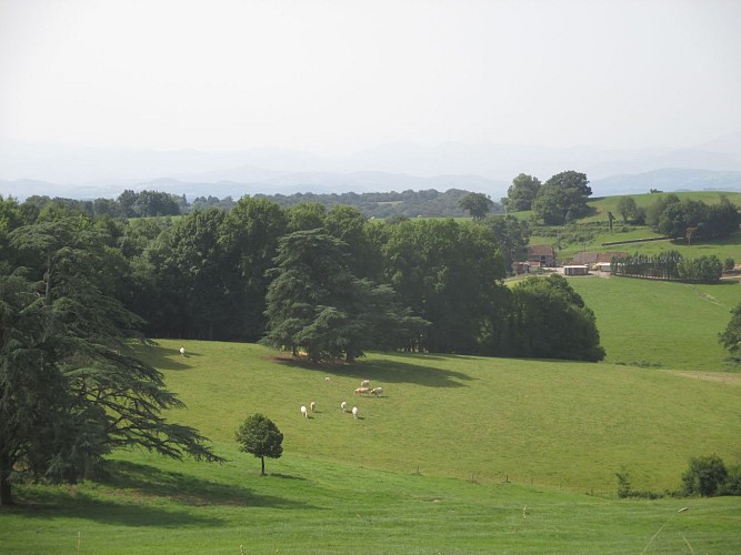 Vue paysagère Béarn des Gaves