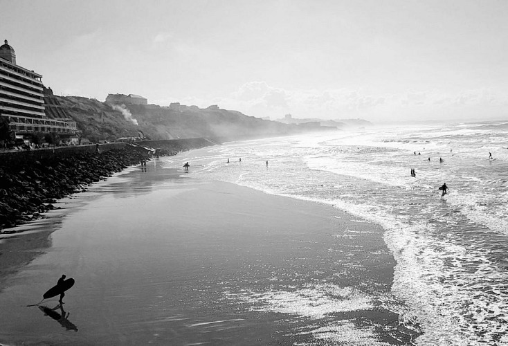 Photo-carlina-noir-et-blanc