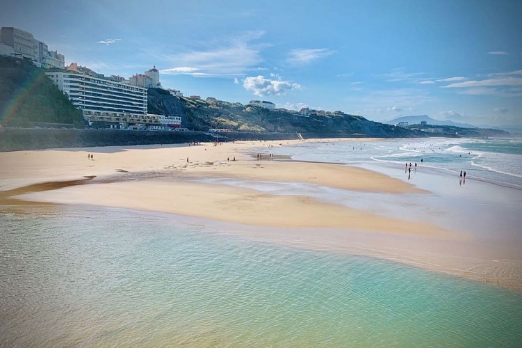Carlina Lodge - Biarritz - Vue