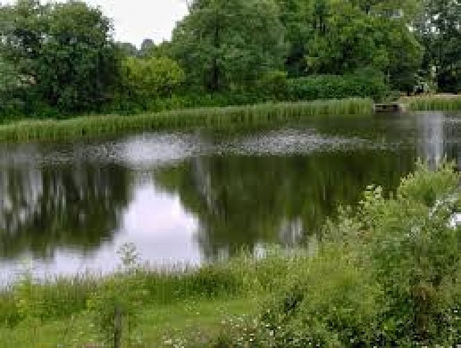 FERME-AQUACOLE-FENERY-TER