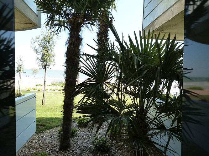 Front de mer plage centrale, neuf et tout confort dans résidence avec piscine, jacuzzi et accès direct à la plage