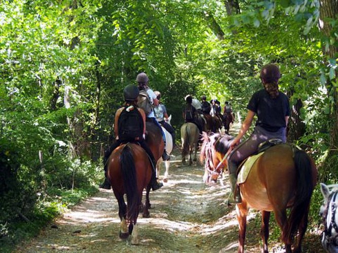 Balade à cheval - Poney Club de Sainte-Foy