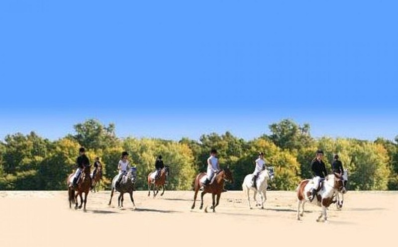 Les Ecuries du Gaudoux