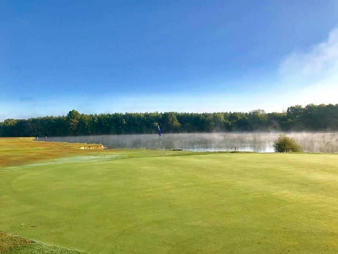 71185670-901232413578604-1823139185368760320-n