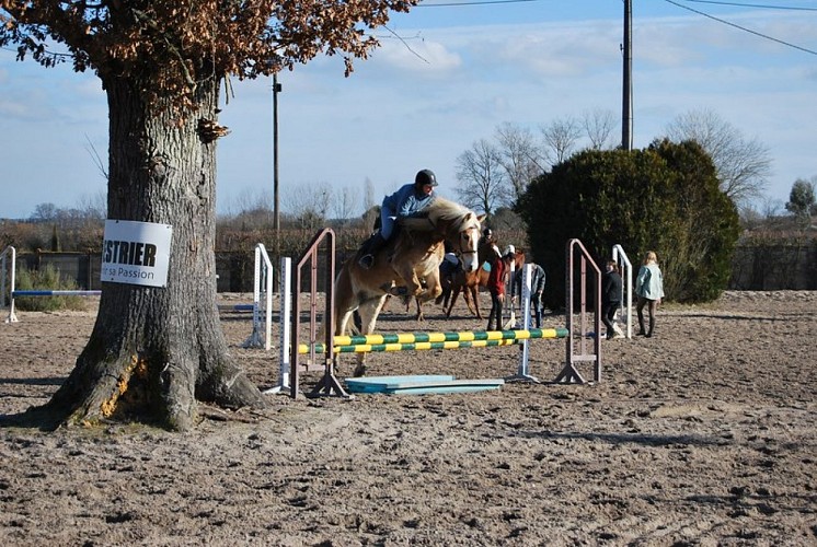 Club hippique La Gourmette 3 (Copier)