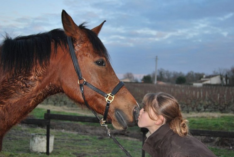 Club hippique La Gourmette - LANGON - Sud-Gironde