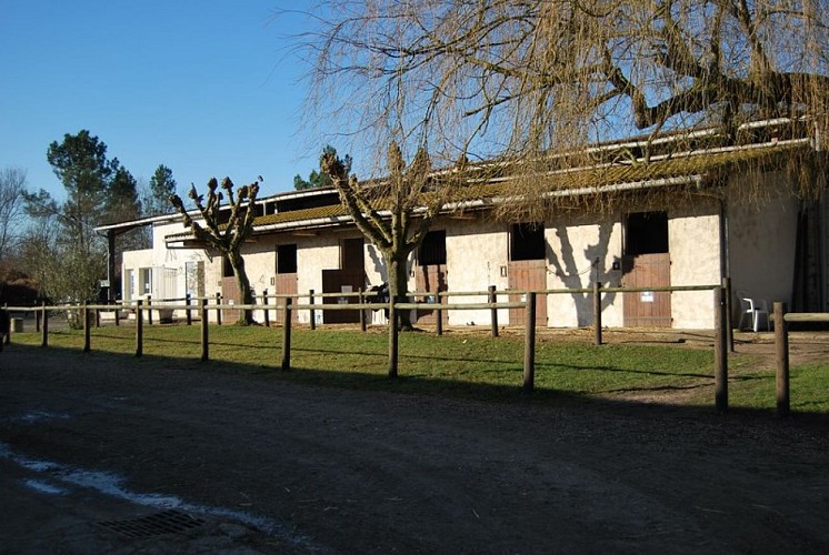 Club hippique La Gourmette - LANGON - Sud-Gironde