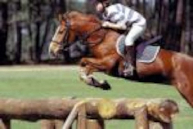 OTPT_OusPins_Tartas_1