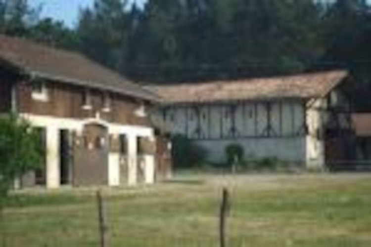 OTPT_OusPins_Tartas_2