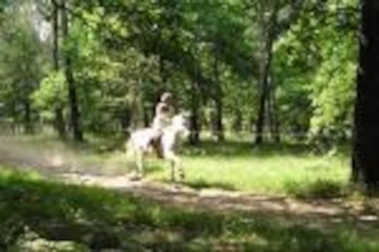 OTPT_OusPins_Tartas_4