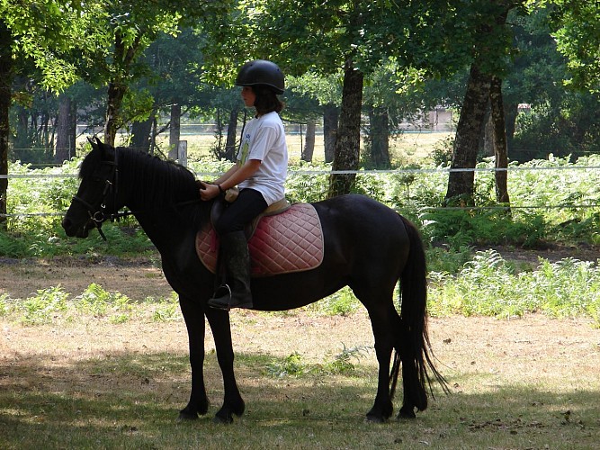 STJU_Poney club Grand Lio