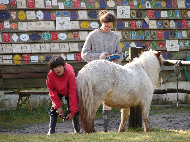 STJU_Poneyclubgrandlio_BD (4)