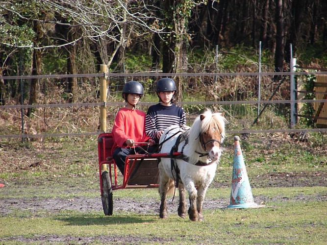 STJU_Poneyclubgrandlio_BD (5)