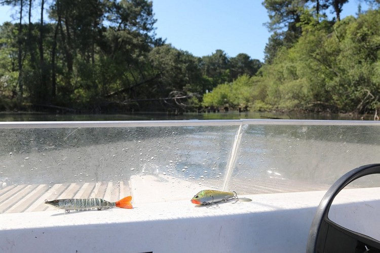 pêche-en-eau-douce5-grands-lacs-landes