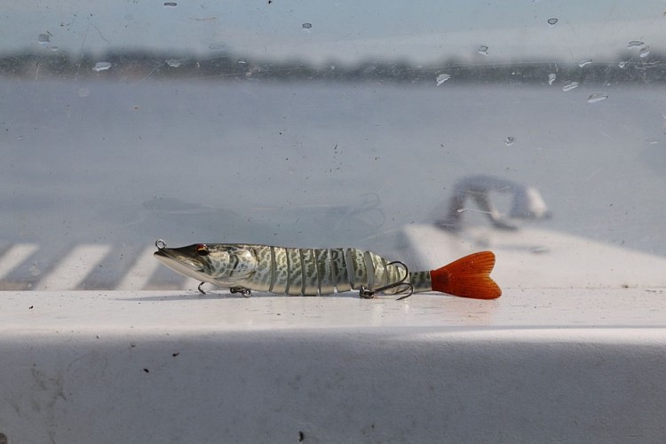 pêche-en-eau-douce8-grands-lacs-landes