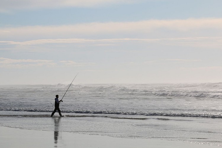 surfcasting-peche-bisca