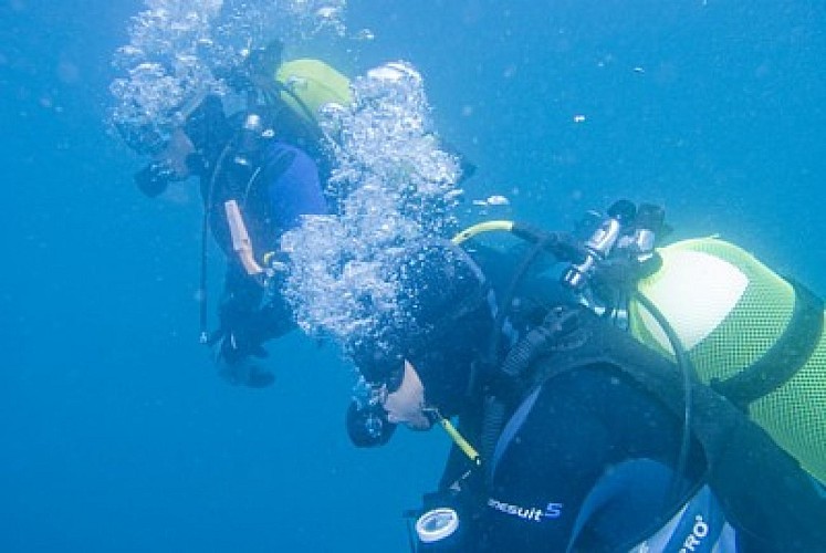 Les Aquanautes