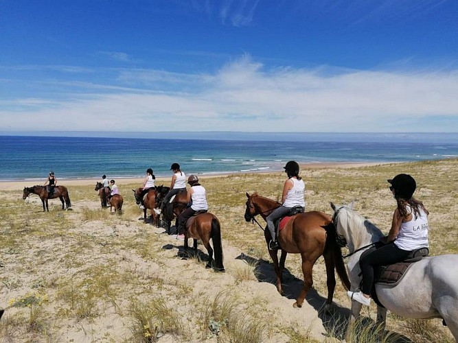 IMG-20201201-WA0020 (Copier)